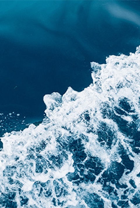 Card - Marine-259x384